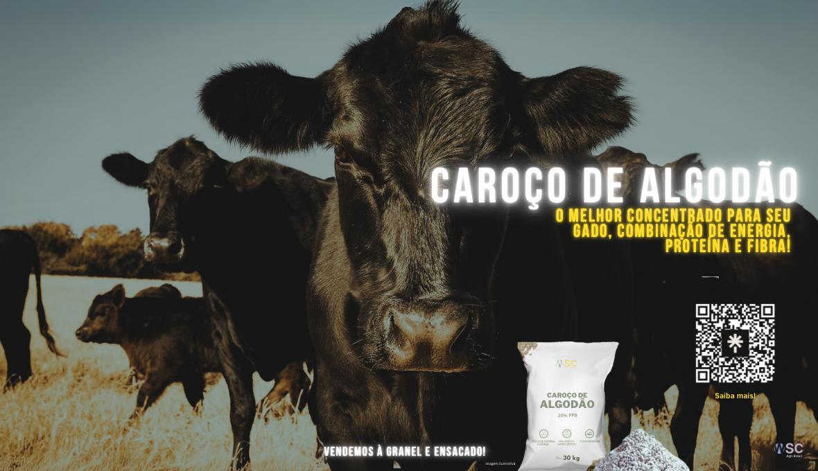 Ambiental — Caroço de Algodão